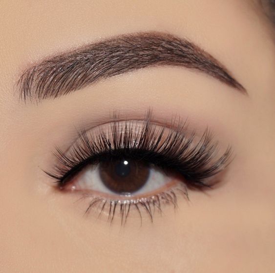 Dream Lashes and Brows
