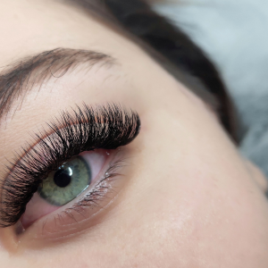 Embark on Your Journey to Dream Lashes and Brows with Expert Precision